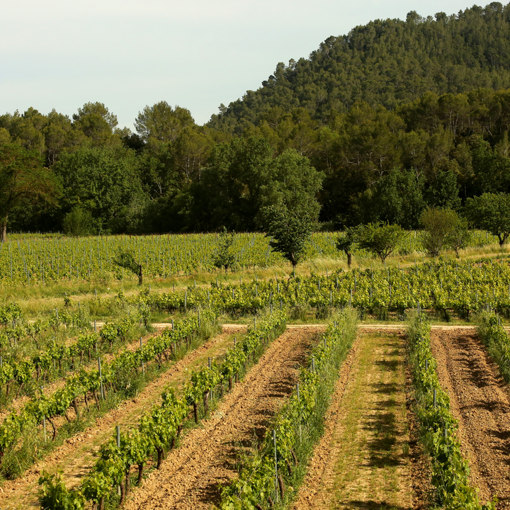 Correns, un terroir préservé