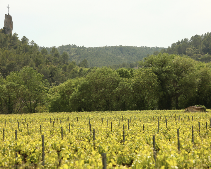 Correns : terroir préservé