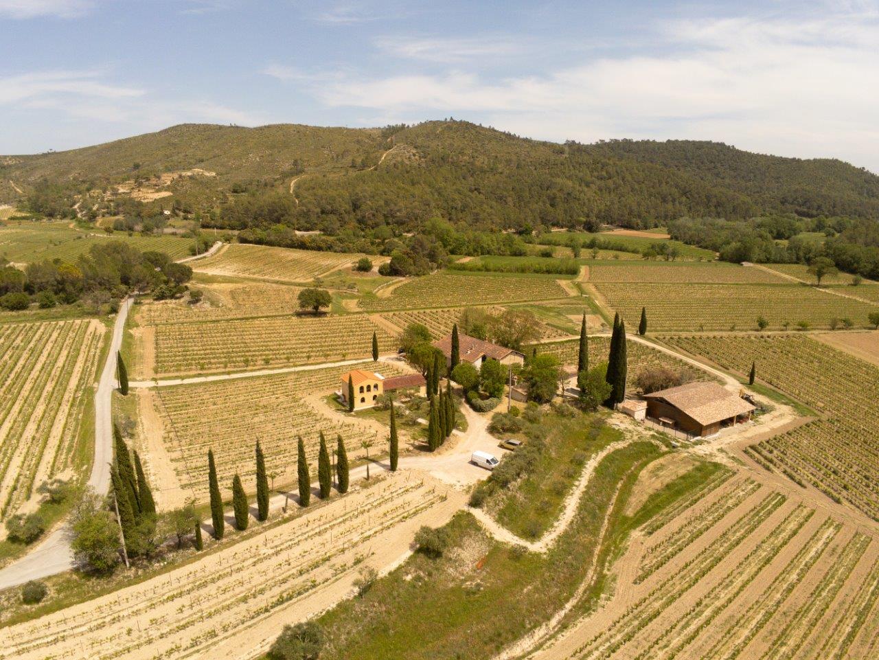 Vue panoramique des vignes des Aspras à Correns, 1er village bio de France